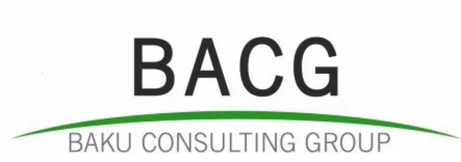 Baku Consulting Group 2011 LLC image 1