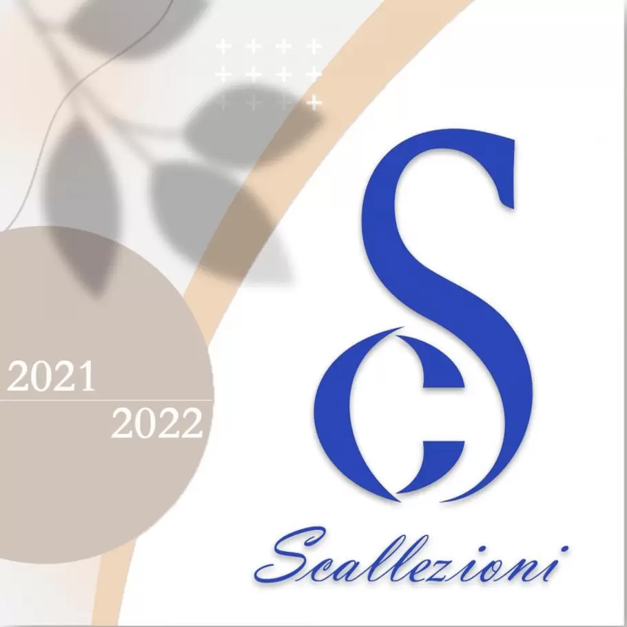 &quot;Scallezioni&quot; MMC image 1