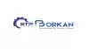 Borkan Group logo